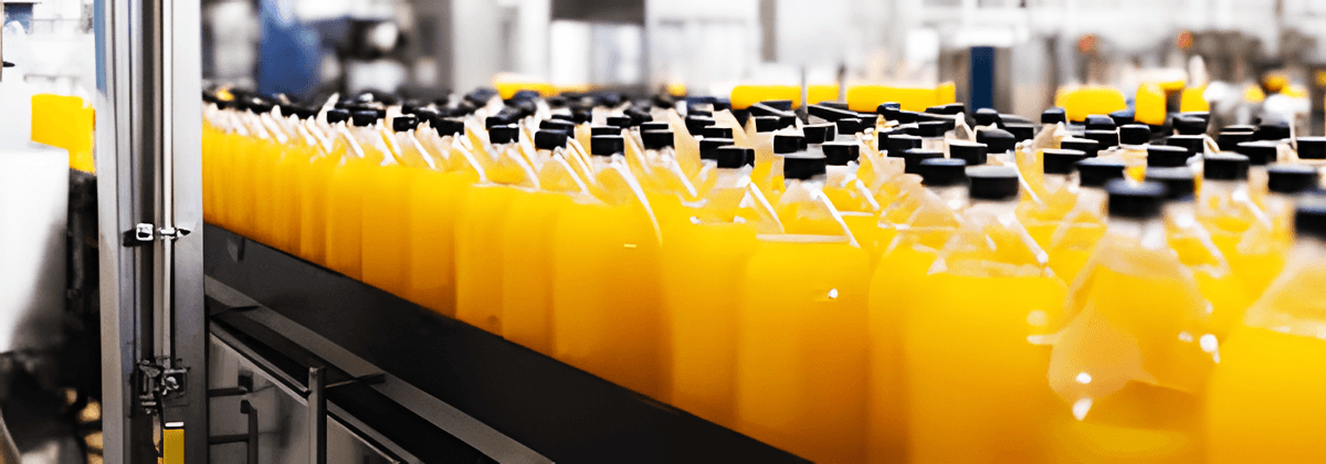 Fruit juice beverage production line