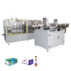 Automatic Case packing machine
